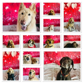 valentines-3