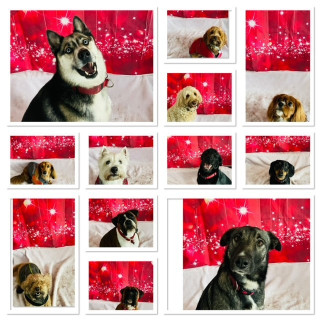 valentines-4