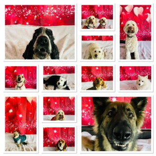 valentines-5