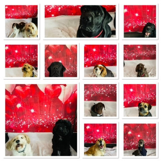 valentines