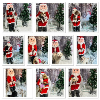 xmas-1