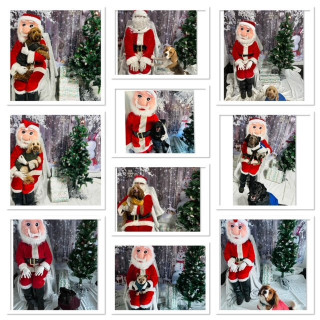 xmas-2