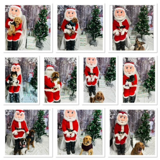 xmas-3