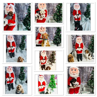 xmas-4