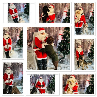 xmas-5