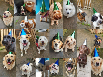 Group-hats-party