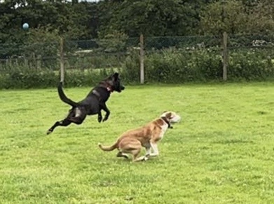 Patch-and-tilly