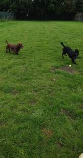 jackson-and-bailey
