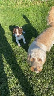 pheobe-and-winnie