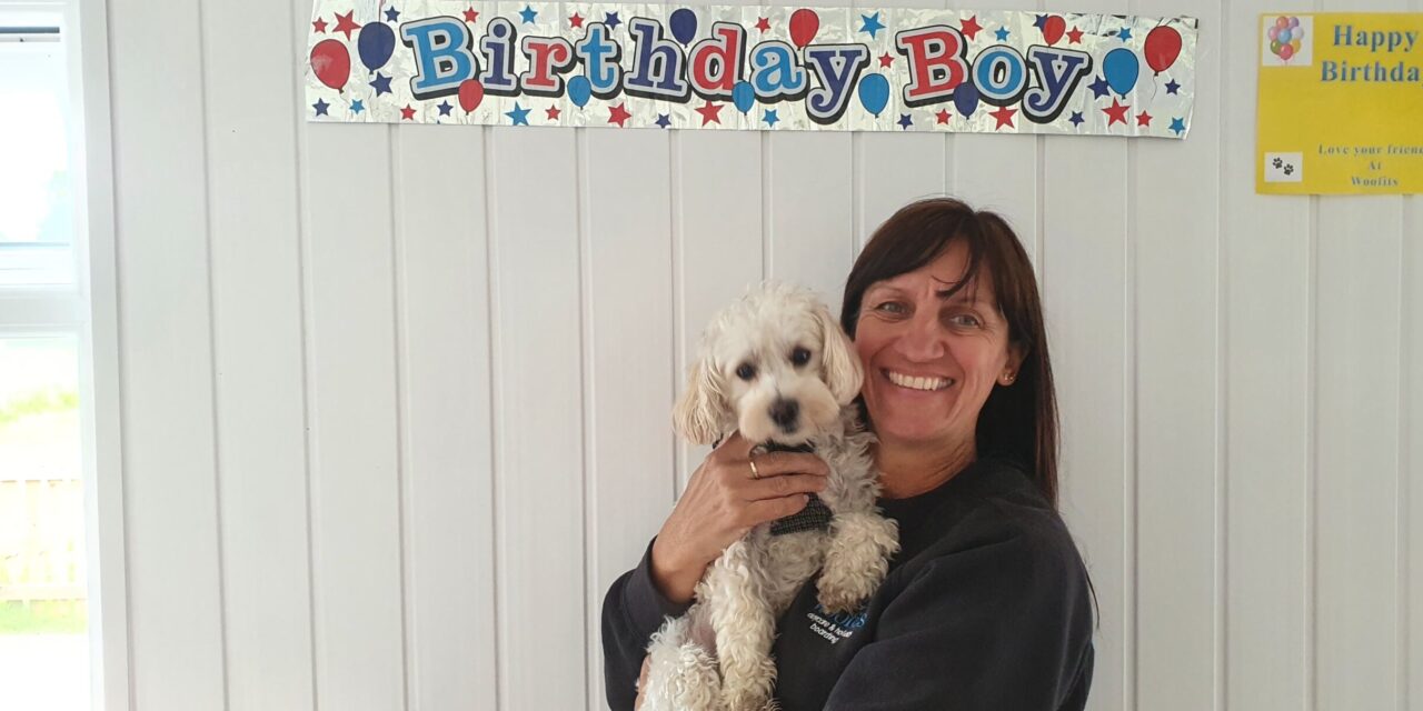 Bear 1st Birthday